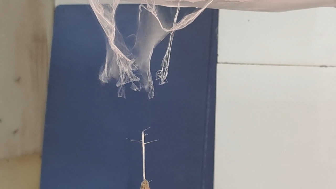 Electrospinning: Solutions of Polystyrene and Polyvinylidene Difluoride in Dimethylformamide